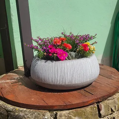 Casa vacanze Fleur De Sel Istrian Garden House